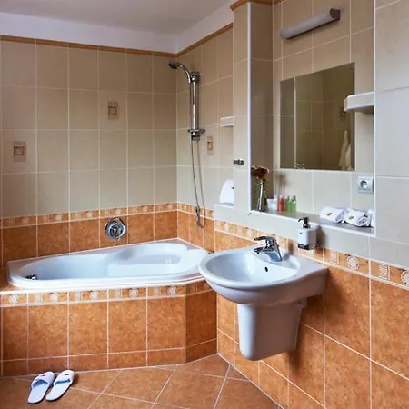 Arx & Wellness Guest house 4*