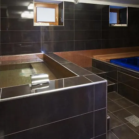 Arx & Wellness Self Check-in Chrudim
