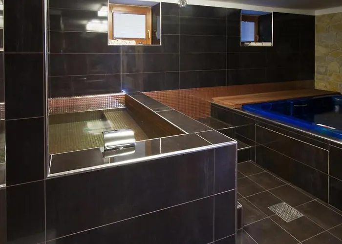 Arx & Wellness Self Check-in Chrudim